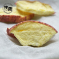 Style séché et processus de séchage FD lyophilisés pommes chips